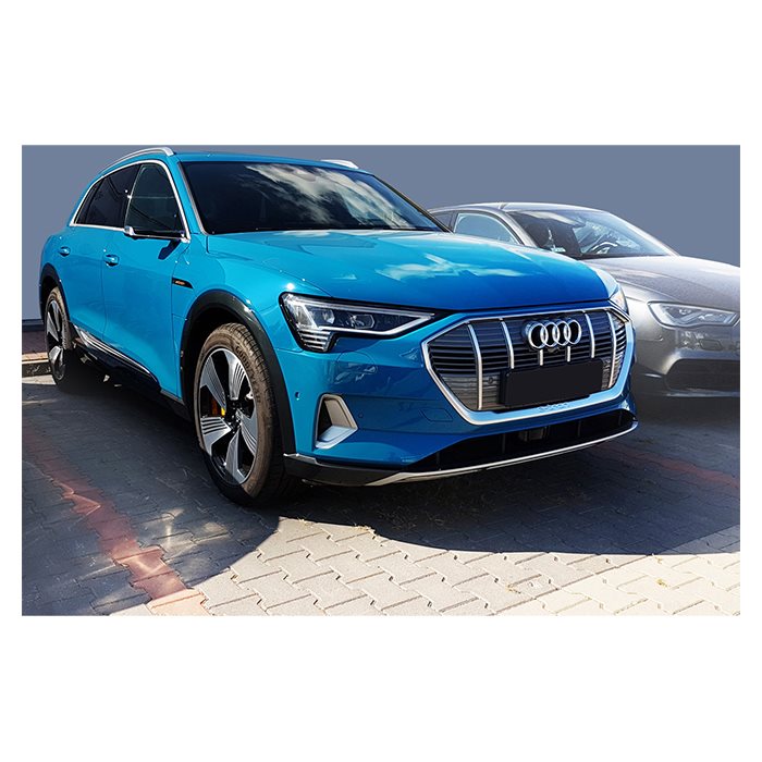 Boot Sill Protector Audi E-Tron 2018- Steel (Avisa)