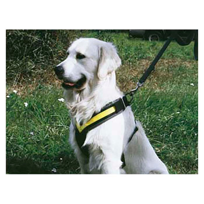Dog Harness MIMsafe Allsafe - Small