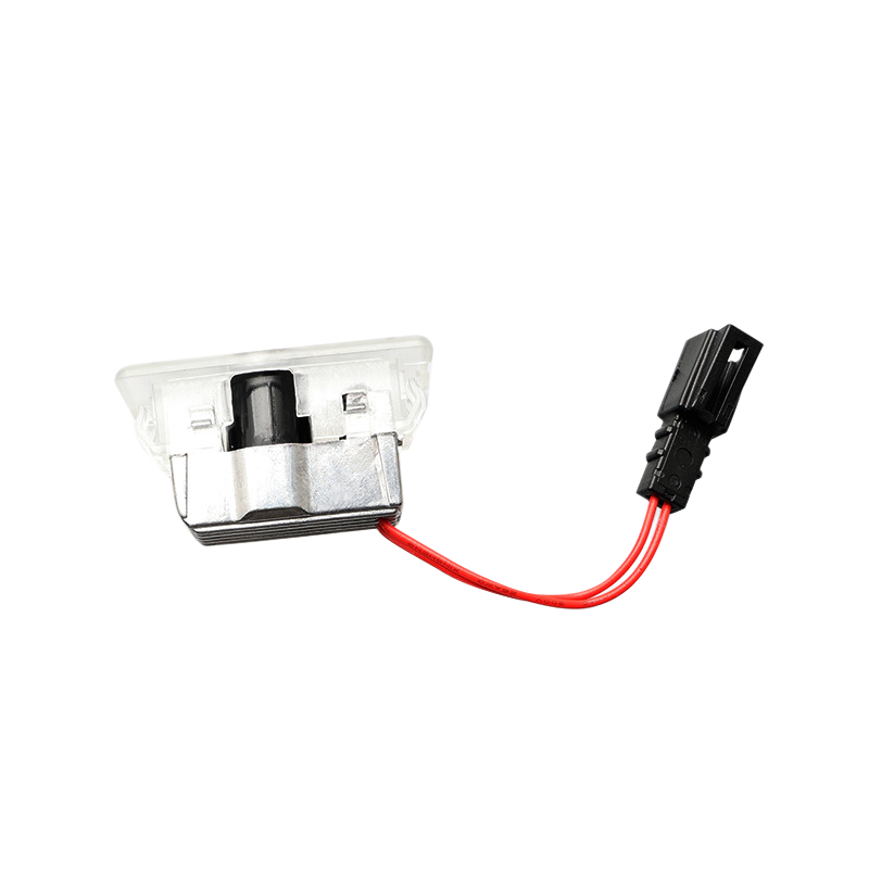 LED Light Tesla