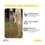 Aqiila SunBird P56 Foldable Solar Charger 45W