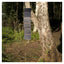 Aqiila SunBird P56 Foldable Solar Charger 45W