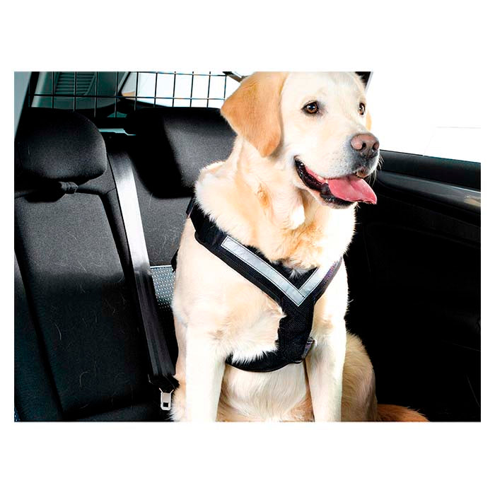 Dog Harness MIMsafe AllSafe - X-Large
