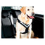 Dog Harness MIMsafe Allsafe - Large