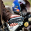 CTEK Charger CT5 Powersport EU Lithium and LA Batteries