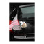 Autoglym Coating and Shampoo Set
