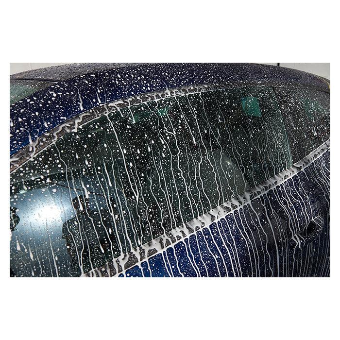 Autoglym Professional Wash Kit