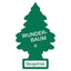 1 Stk. Wunderbaum Forest Fresh