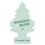 1 Stk. Wunderbaum Frosted Pine