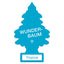 1 Stk. Wunderbaum Tropical