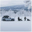 Thule Motion 3 L schwarz glänzend