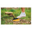 Easy Camp Foot Pump 3 L