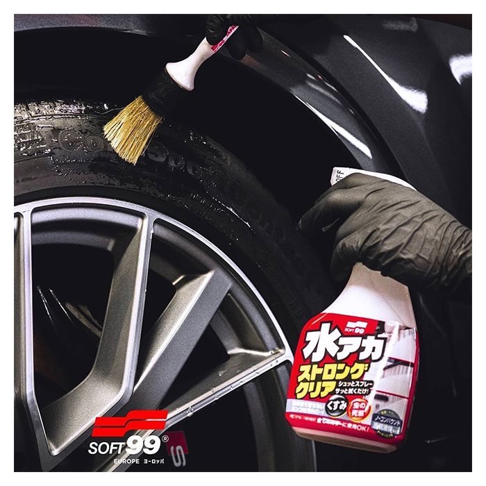 Soft99 Wash and Coating Kit