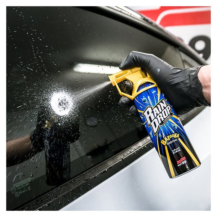 Soft99 Wash and Coating Kit