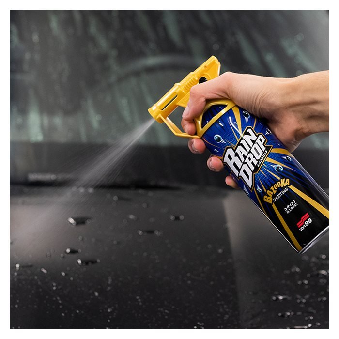 Soft99 Wash and Coating Kit