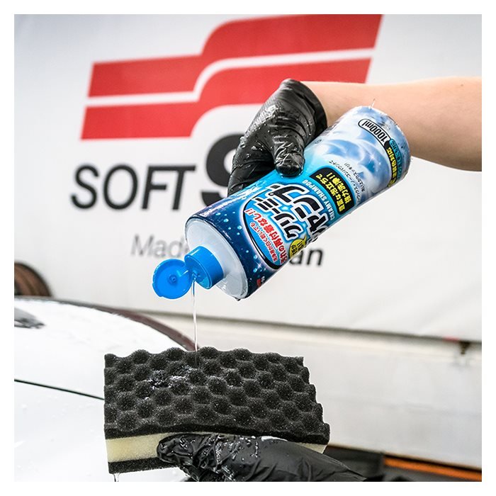 Soft99 Wash and Coating Kit