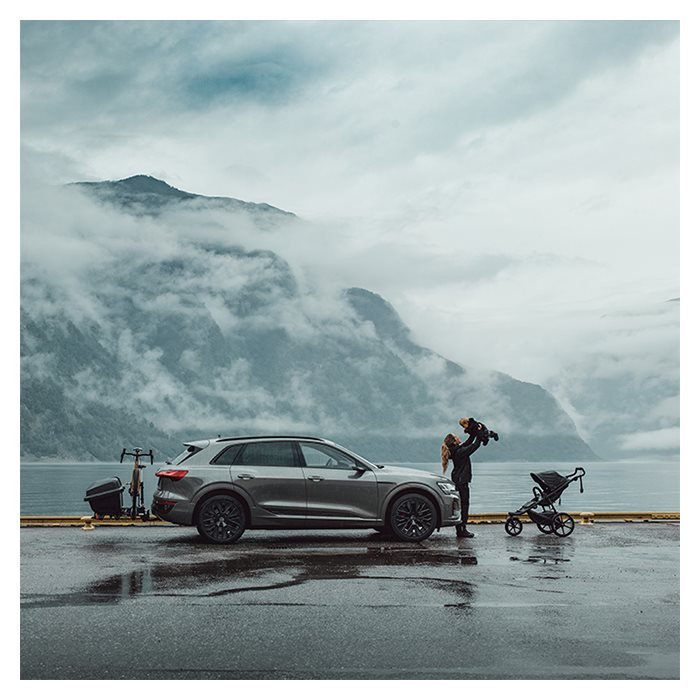 Thule Santu Cargo Box für EasyFold